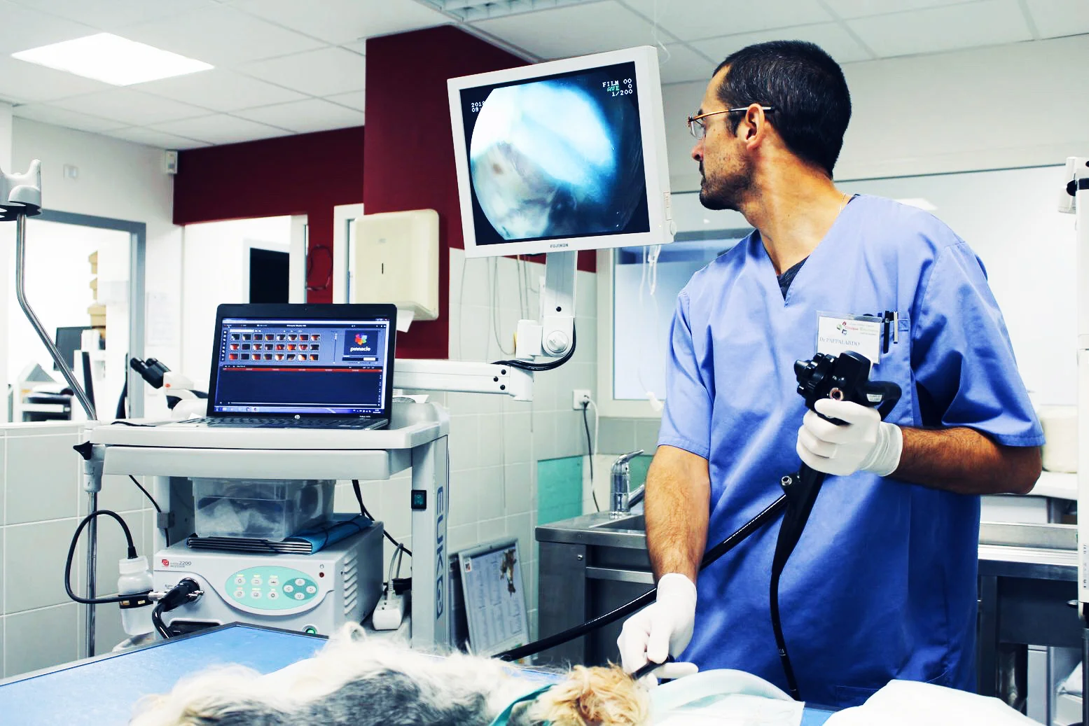 //anibio.fr/wp-content/uploads/2023/06/ENDOSCOPIE.jpg