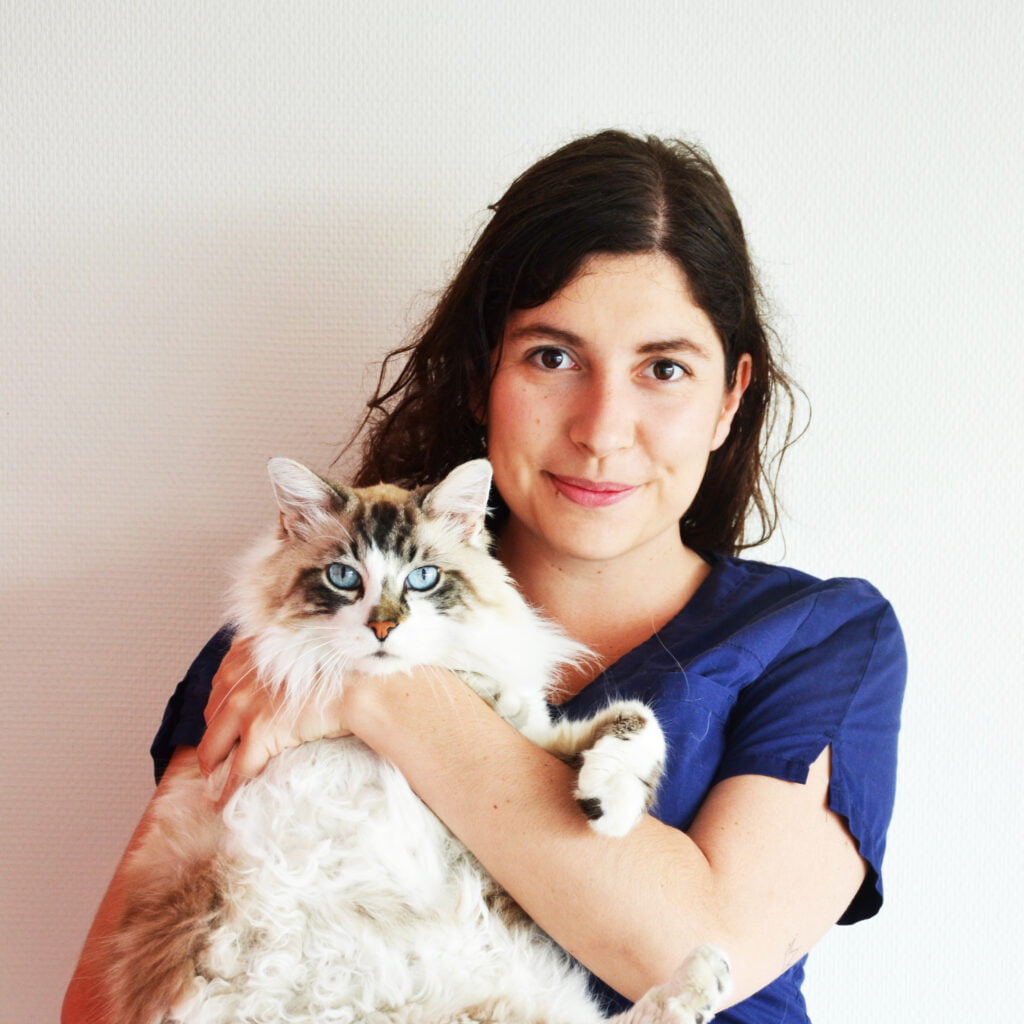 Dv Margot COURTOIS