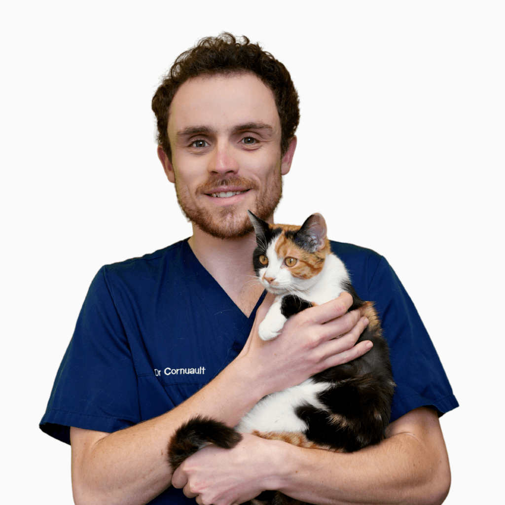 Dv Gabriel CORNUAULT